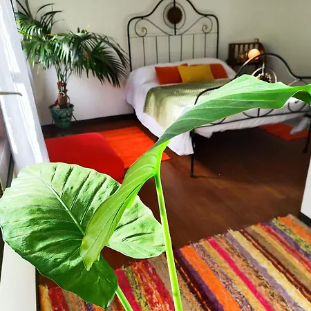 El Bac Country house Castellar De N'Hug